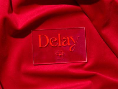 Captivating branding for Delay: embracing reflection and artistry