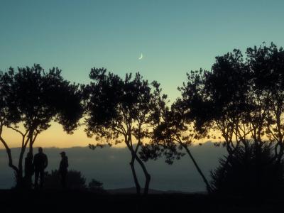Disconnect to Reconnect: Camping in Highway 1, California