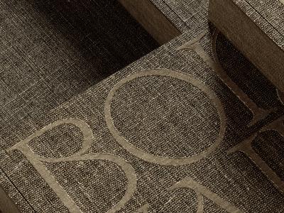 Galnoy Font: A Modern Take on Serif Typography