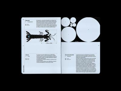 Editorial Design Insights from the Glosario Gráfico Project