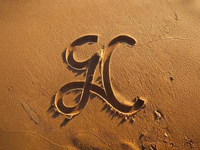 Excellence in Branding: Guida Cericola by DE SDEEV Studio