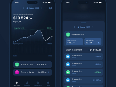 UI UX design for financial mobile app Monoboost 