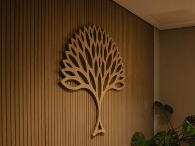 Crafting Branding and Visual Identity for Naia Capital