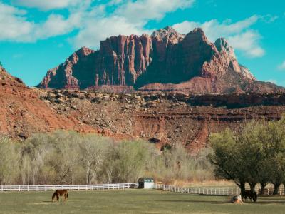 Design Meets Nature: U.S. National Parks Open Their Gates for Free on August 4