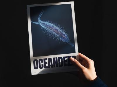 Exploring OceanDeep’s Graphic Design and Motion Design Project