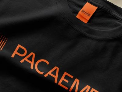 Pacaembu Stadium Branding & Visual Identity