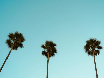Capturing California: A Summer Break Photographic Journey