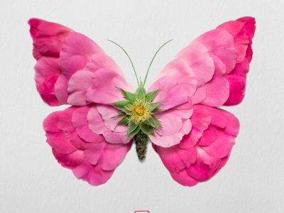 Natura Insects Series6: Crafting insects made by flowers