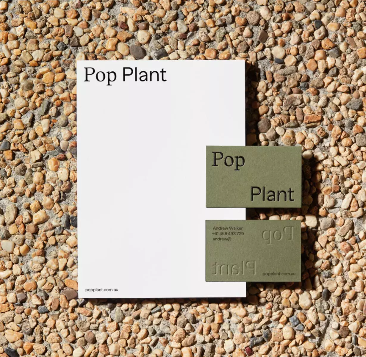 Pop Plant Branding and Visual Identity