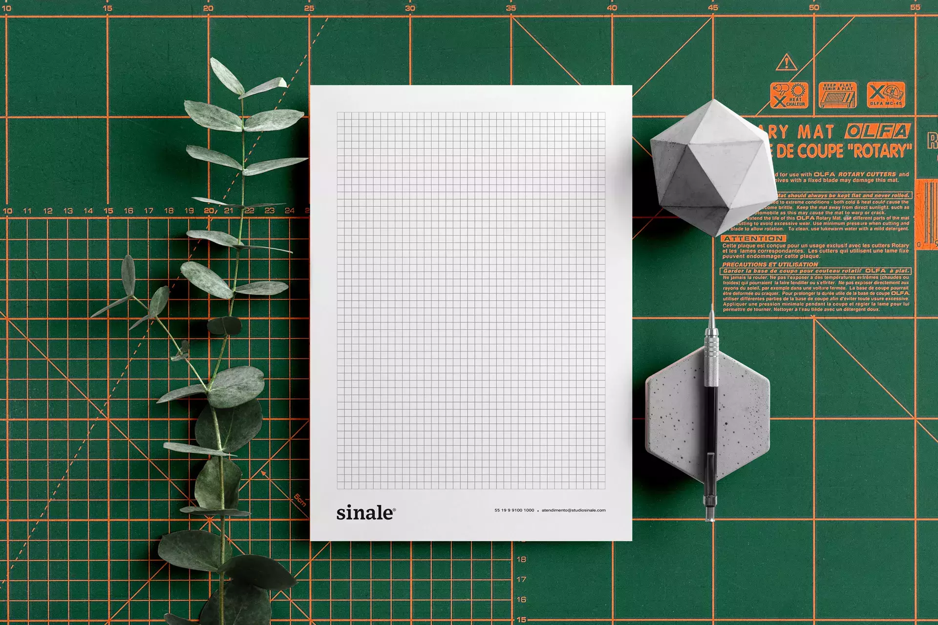 sinale® - studio branding and visual identity