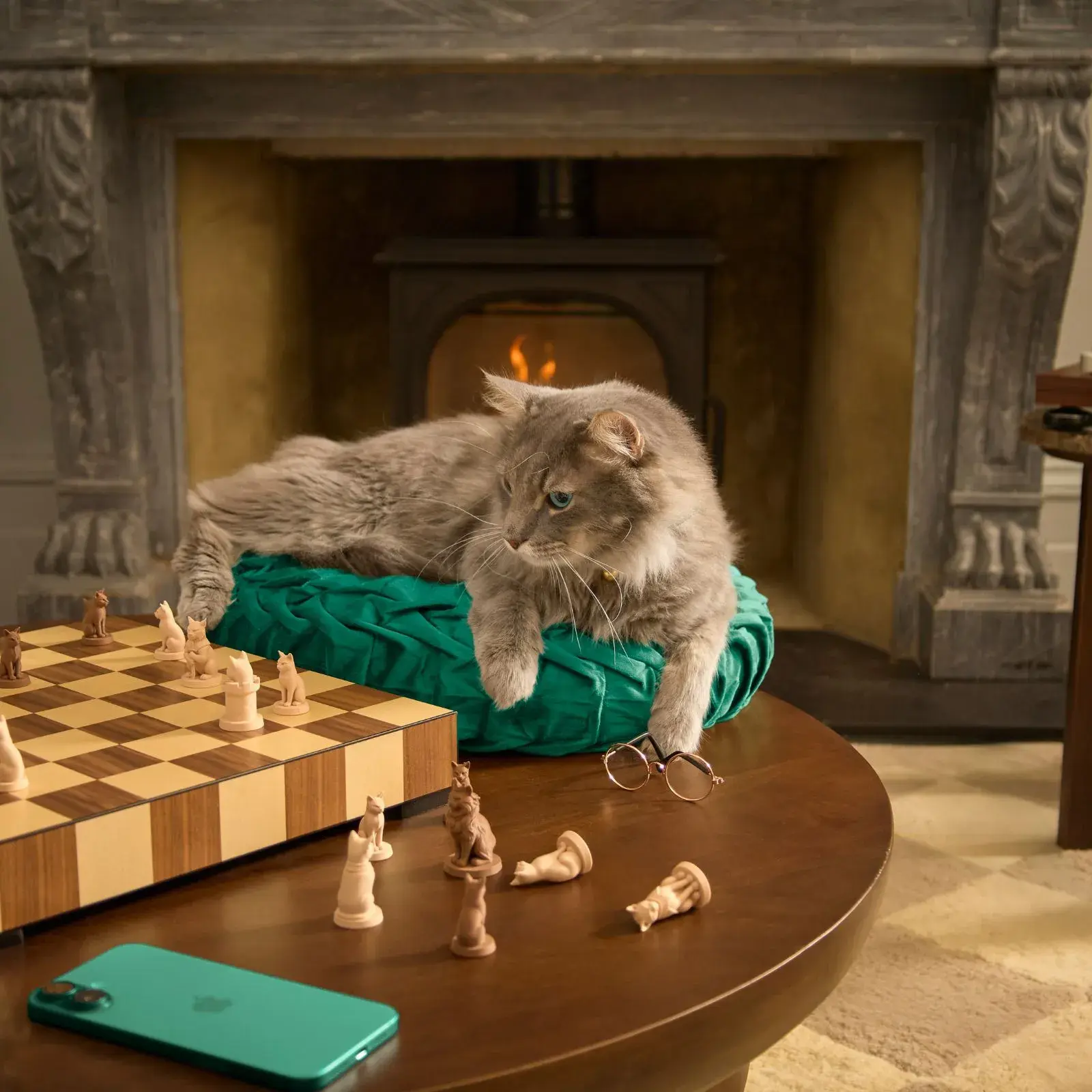 TrustedHousesitters Introduces Design-Led Campaign About Pet Comfort