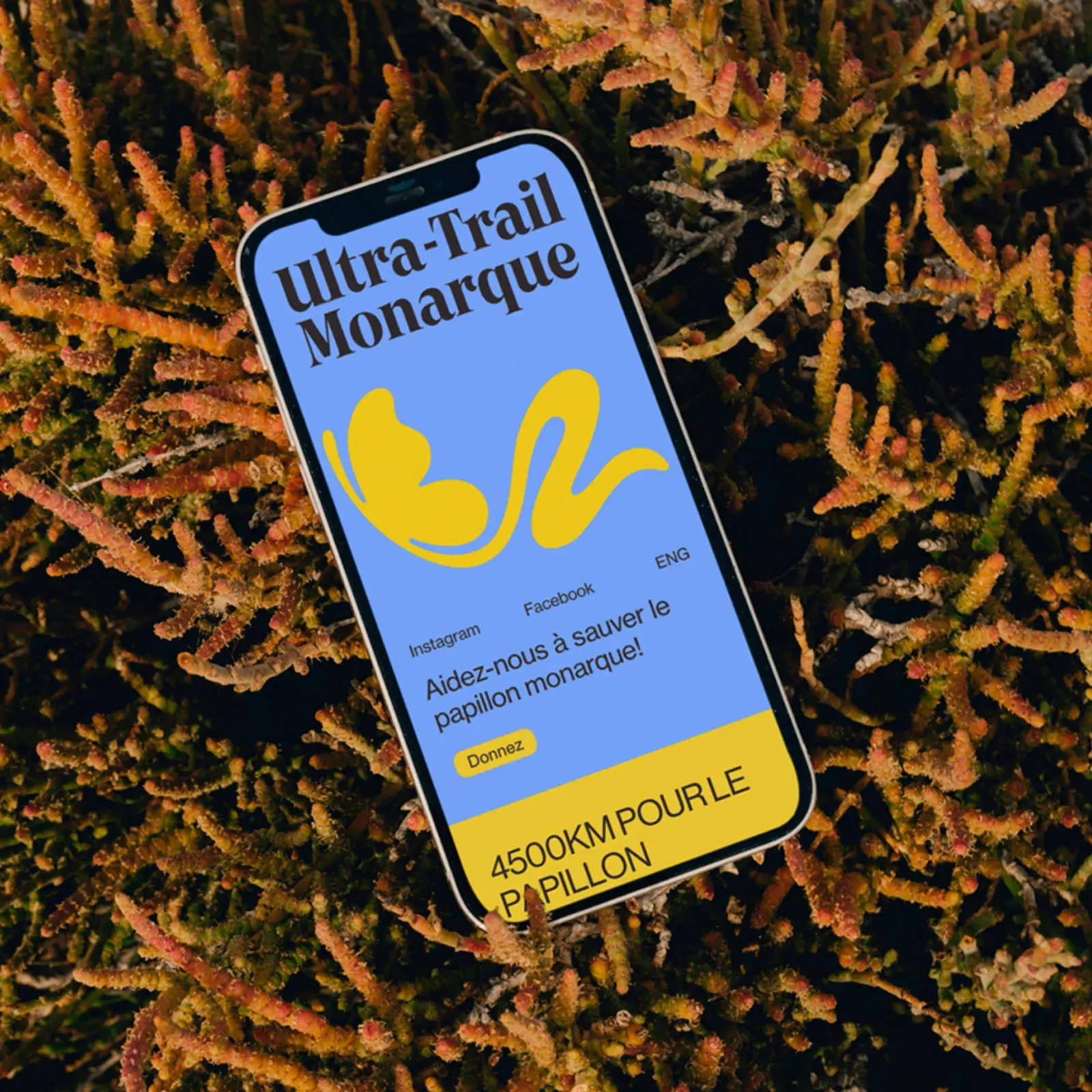 The Ultra-Trail Monarque: Where Branding Takes Flight