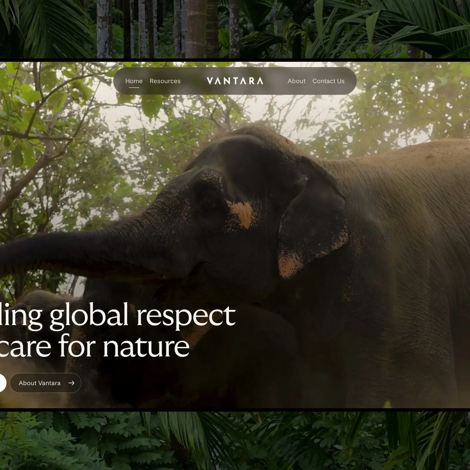 Vantara web design by Clay — conservation digital experience with earthy tones and 3D habitat maps