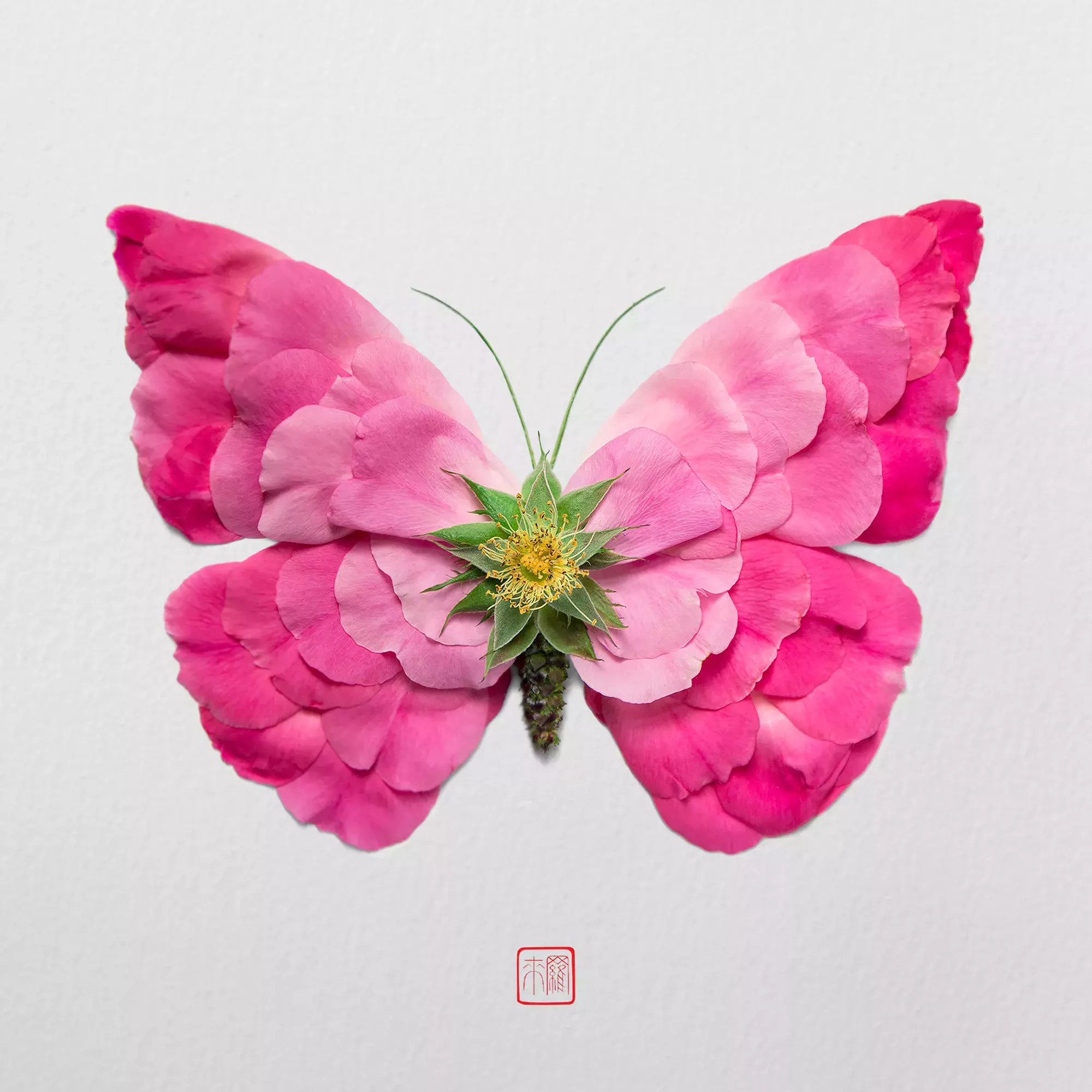 Natura Insects Series6: Crafting insects made by flowers