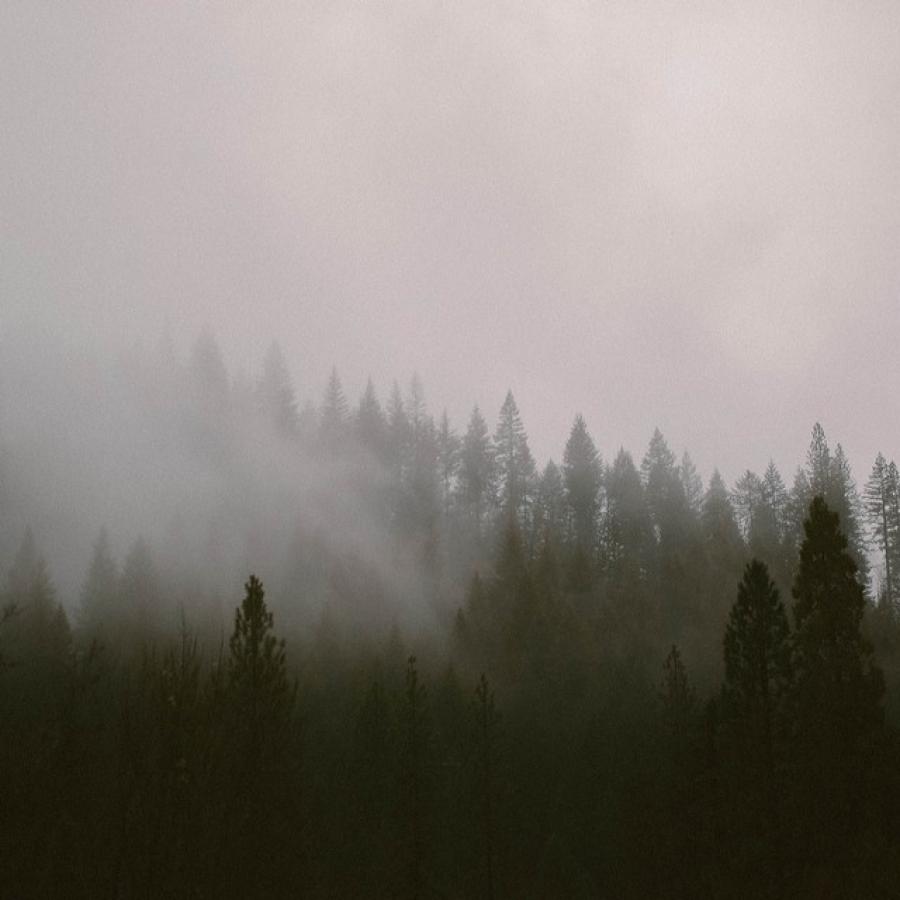 Scent Design : Juniper Ridge