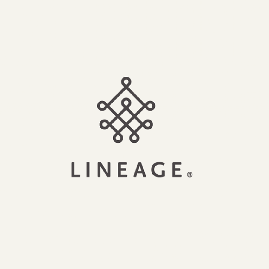 Elegant Brand Identity for Lineage Law