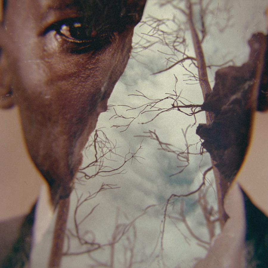 Motion Design: True Detective 3 Opening Title
