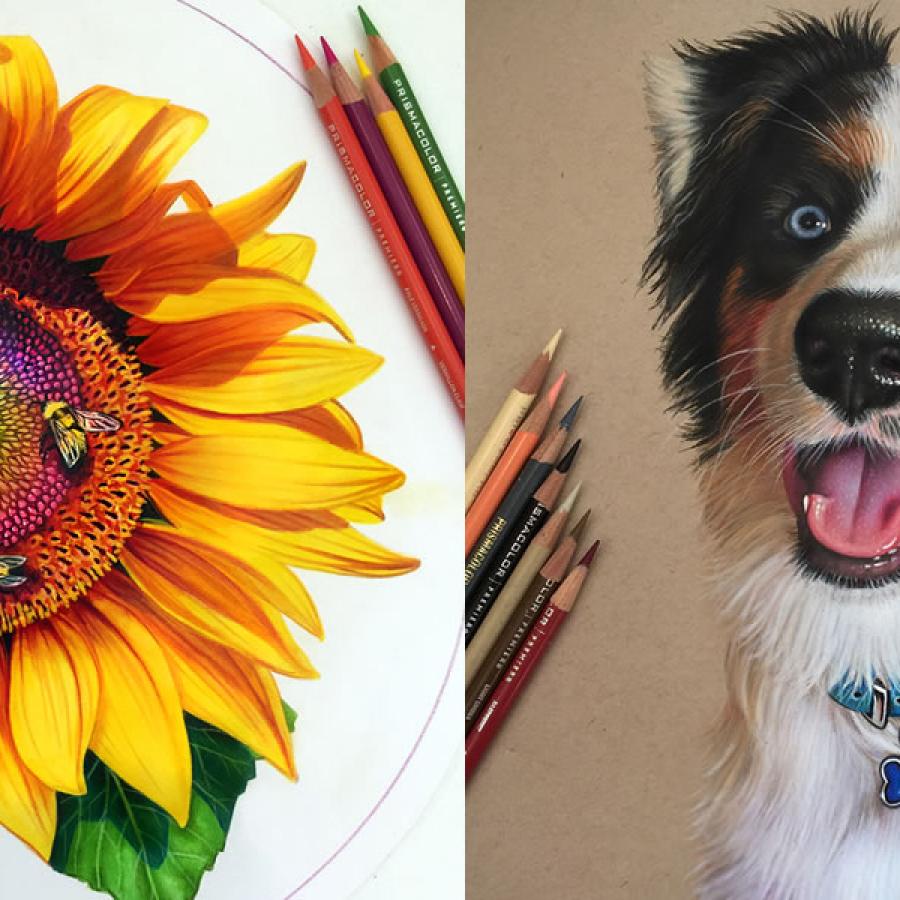 Exquisite Colored Pencil drawings by Morgan Davidson