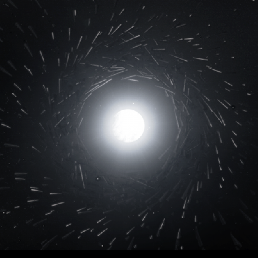 Beautiful Work of Tom Alex Buch