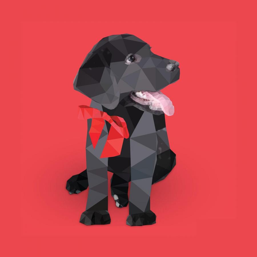 Apple Watch Face Gallery Animal Illustrations