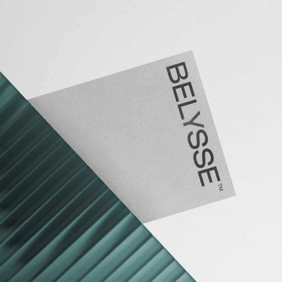 Branding case submission - BELYSSE