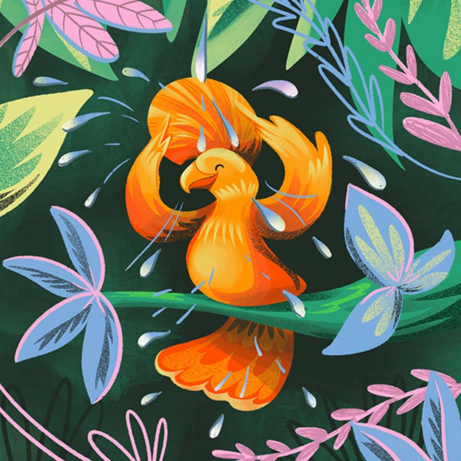 Gabi Emmerich’s Illustrations: Brazilian Birds Light Up Kids’ Bath Products