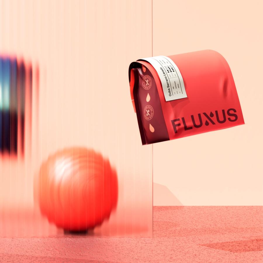 Branding for Fluxus: where coffee meets art