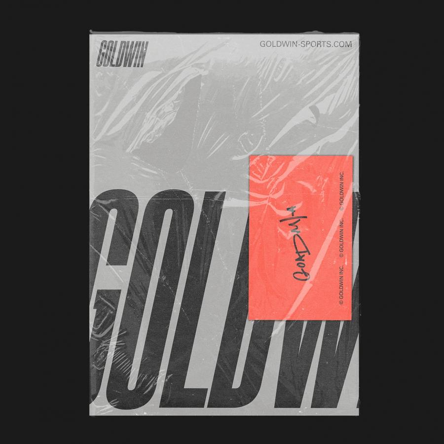 Stylish Branding and Visual Identity for GOLDWIN INC