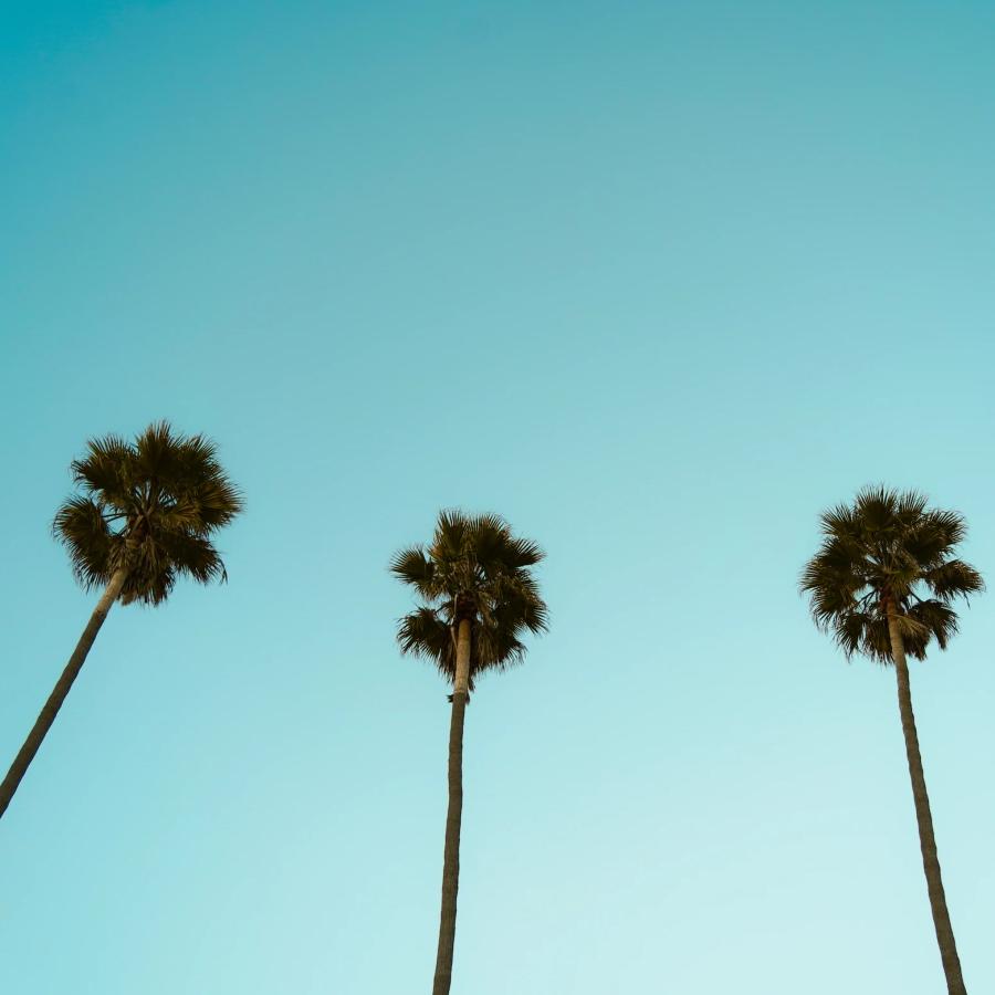 Capturing California: A Summer Break Photographic Journey