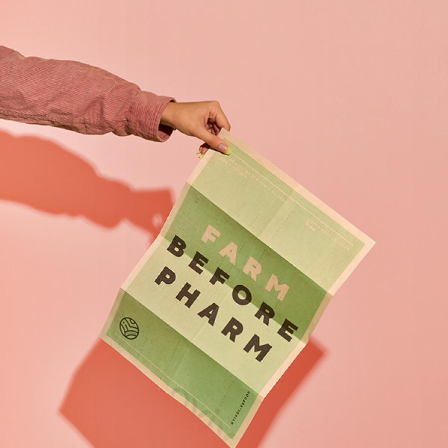 Visually Delicious Identity and Branding for Mexican Restaurant