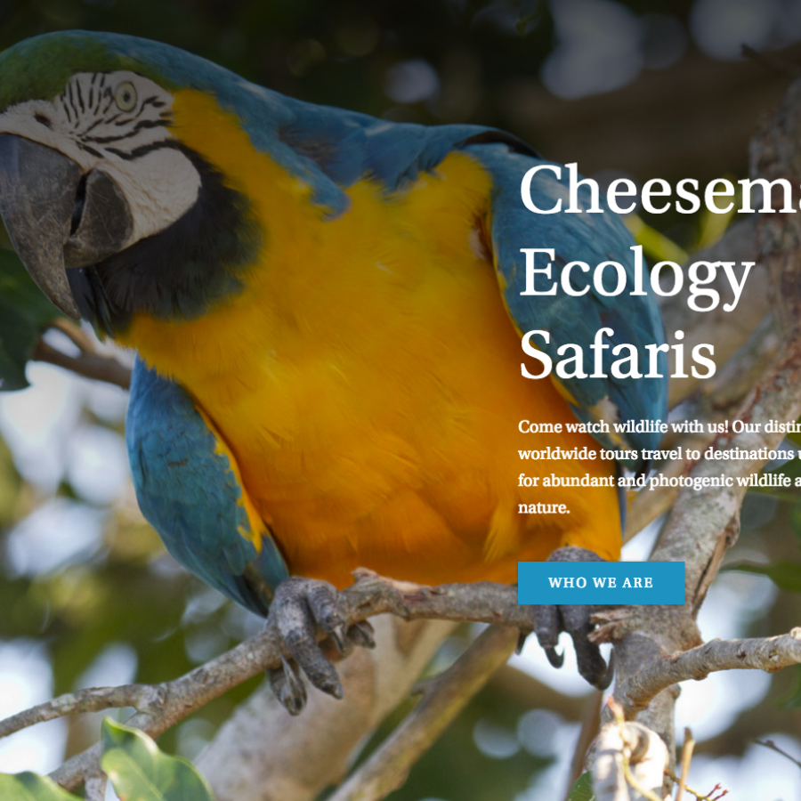UI/UX Cheesemans' Ecology Safaris
