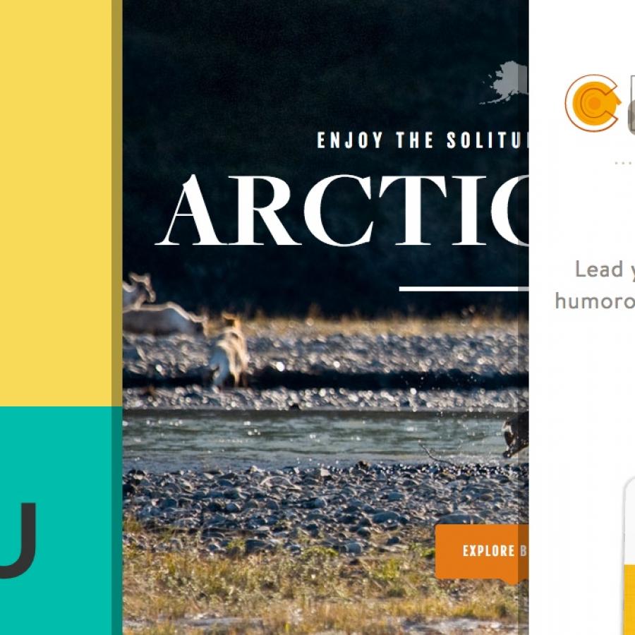 Sites of the Week: Arctic Wild, Creative Clash, Rally and more