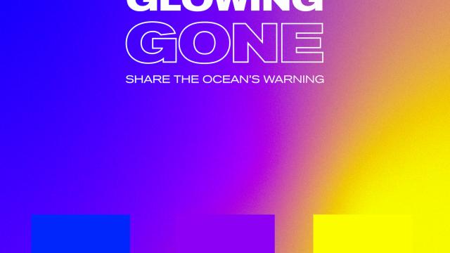 Glowing, Glowing, Gone - Raising awareness to save coral reefs