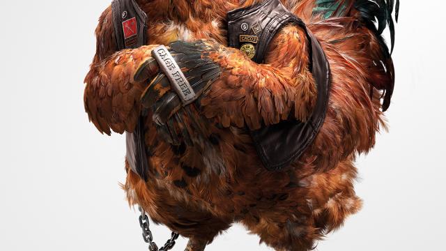 Animals Photo Manipulation Animals Photo Manipulation