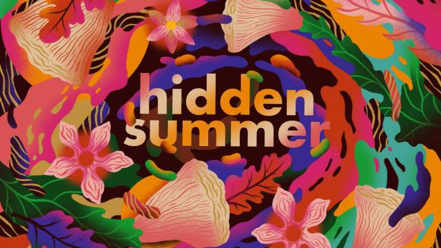 Hidden Summer Illustration using Procreate
