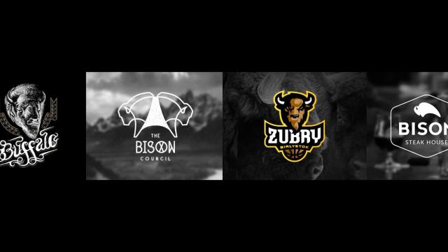 Logo Design: Buffalos and Bisons