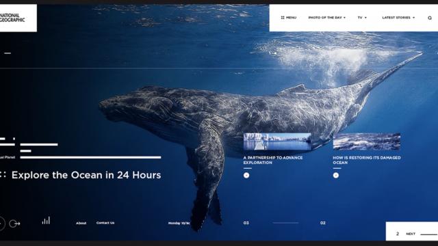 Web Design Concept for National Geographic