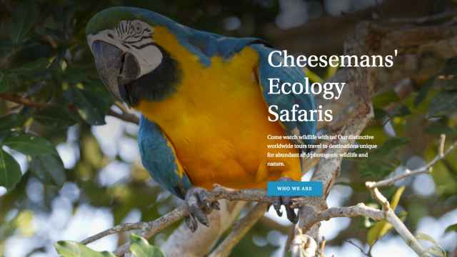 UI/UX Cheesemans' Ecology Safaris