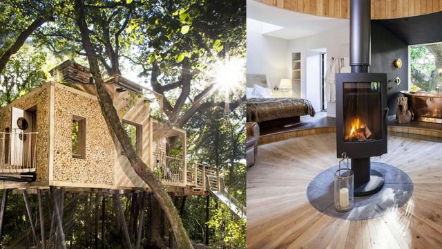 Inspiring Treehouse Scape in Dorset