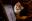 Marvelous Cat Photography Marvelous Cat Photography