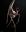 Wicked 3D Creature Design by Dominic Qwek Wicked 3D Creature Design by Dominic Qwek