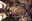 Spectacular Cathedral Ceiling Art Spectacular Cathedral Ceiling Art
