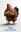 Animals Photo Manipulation Animals Photo Manipulation