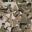 Super Clever Editorial Illustration - Dangerous Camouflage Super Clever Editorial Illustration - Dangerous Camouflage