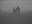Eerie Halloween Photography Eerie Halloween Photography
