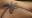 Aardman Animations Bring Insect Tattoos to Life for New Random Acts Film Aardman Animations Bring Insect Tattoos to Life for New Random Acts Film