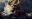 Rembrandt Lost Masterpiece - Digital Illustration Rembrandt Lost Masterpiece - Digital Illustration