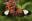 Insanely Beautiful Butterflies Insanely Beautiful Butterflies
