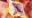 Plumes Wallpapers Plumes Wallpapers