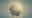 Adobe Stock: Stepping into the Third Dimension Adobe Stock: Stepping into the Third Dimension